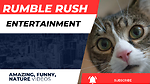 Rumble Rush Entertainment