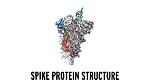 New Spike Protein News