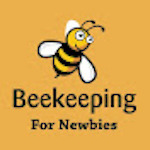 Beekeeping For Newbies