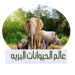 Www.Animaux123.com