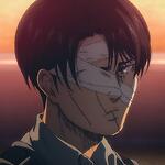 LEVI ACKERMAN THE BEAST