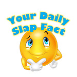 Your Daily Slap Fact