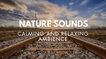 Nature Sound