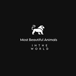 MostBeautifulAnimalsinthe world