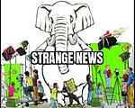 Strangenews