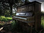 Piano In The Woods