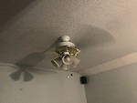 Ceiling fans