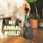 My Animal World