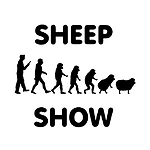 Sheep Show