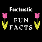 Fun Facts