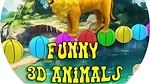 Funny 3d Animals