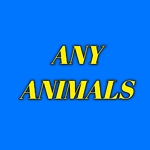 Best top animals video.