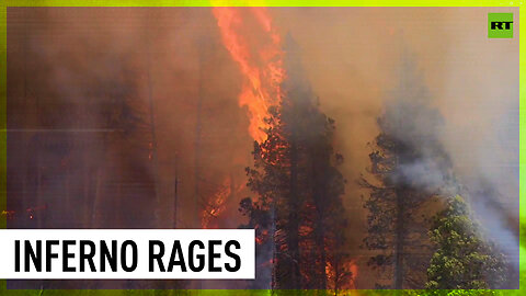 Wildfires ravage forests in Argentina