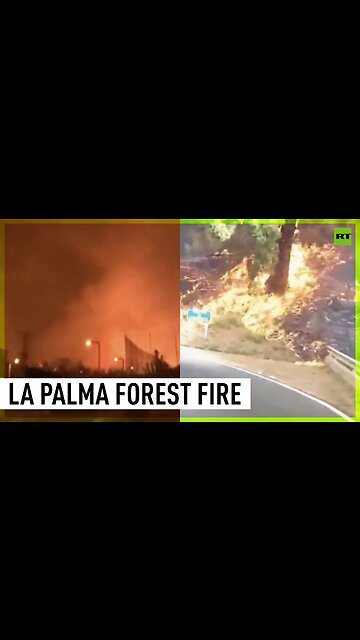 Wildfire prompts evacuations on La Palma island