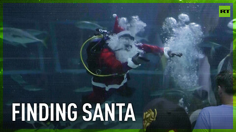 Santa Claus greets families in Rio de Janeiro aquarium