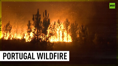 Massive wildfires ravage Portugal