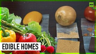 Japanese scientists invent edible concrete made from food waste