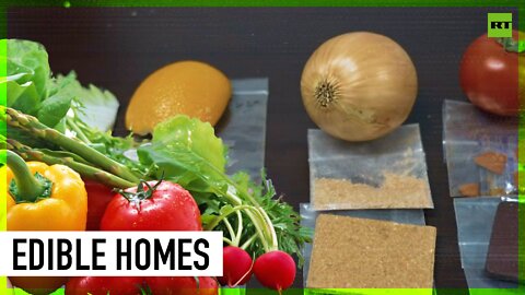 Japanese scientists invent edible concrete made from food waste