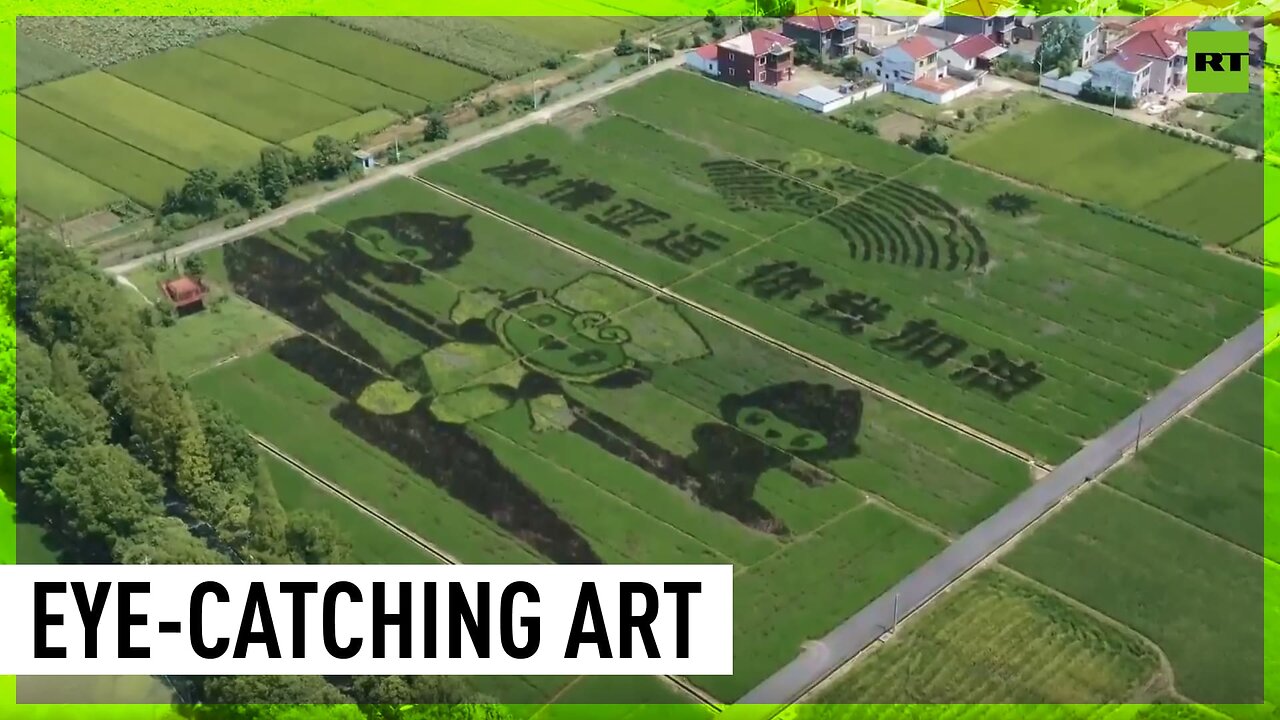 Chinese farmers pay paddy art tribute to 19th Asian Games