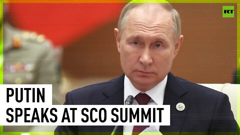 Russia ready to provide fertilizers to developing nations free of charge – Putin