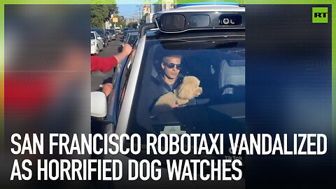 San Francisco robotaxi vandalized as horrified dog watches