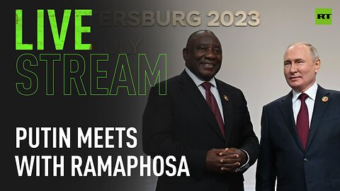 Putin holds meeting with South African counterpart