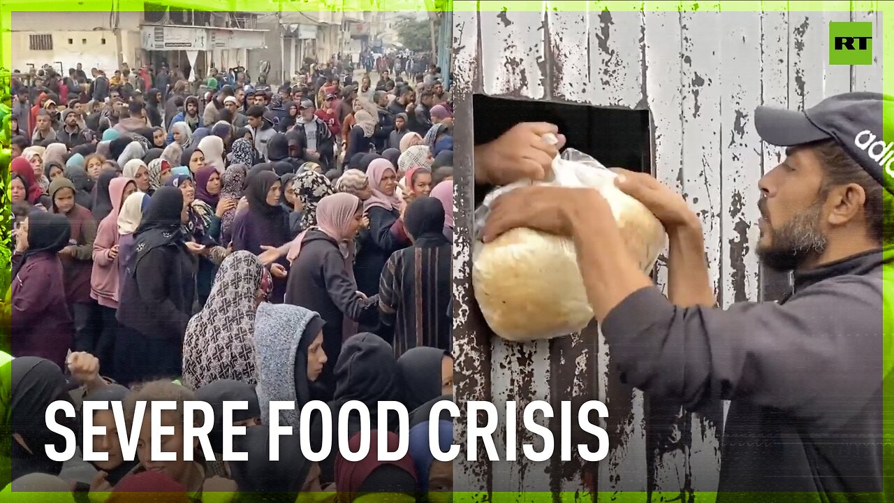 Heartbreaking: Huge crowds push to get bread at Gaza bakery