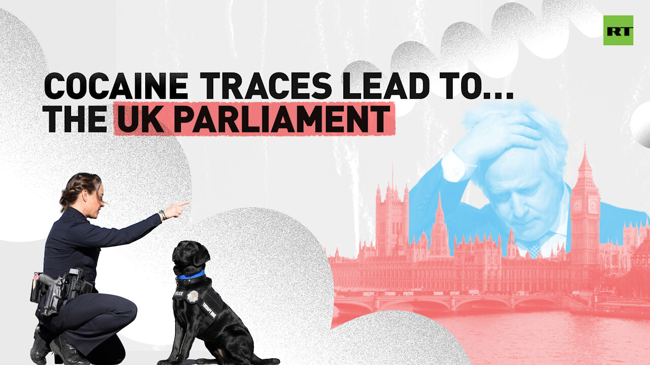 Sniffer dogs needed | Reports of cocaine use in Parliament provoke investigation