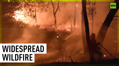 Forest inferno rages through Spain