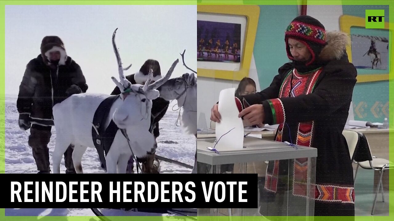 Russian reindeer herders vote in presidential election