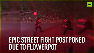 Epic street fight postponed due to flowerpot