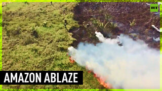 Brazil’s Amazon rainforest scorched by worst fires in more than a decade