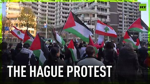 Protest against Israeli attacks on Lebanon and Gaza held in The Hague