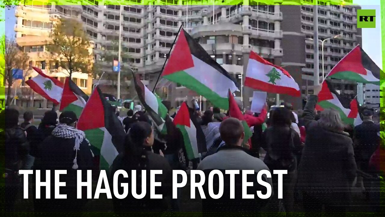 Protest against Israeli attacks on Lebanon and Gaza held in The Hague