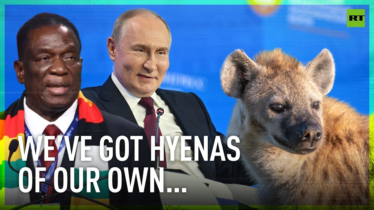 'We’ve got hyenas of our own… in Europe’: Putin responds to African leader’s ‘gift’ offer