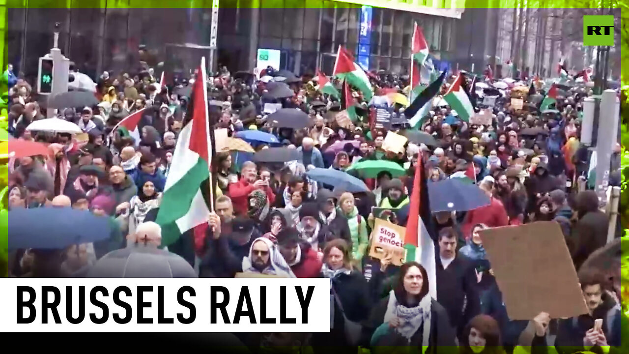 Mass protest held in Brussels demanding Gaza ceasefire