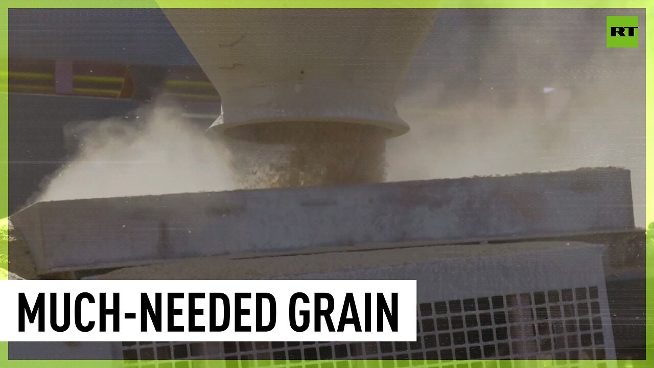 Free Russian grain reaches Mozambique, awaiting final distribution in Zimbabwe