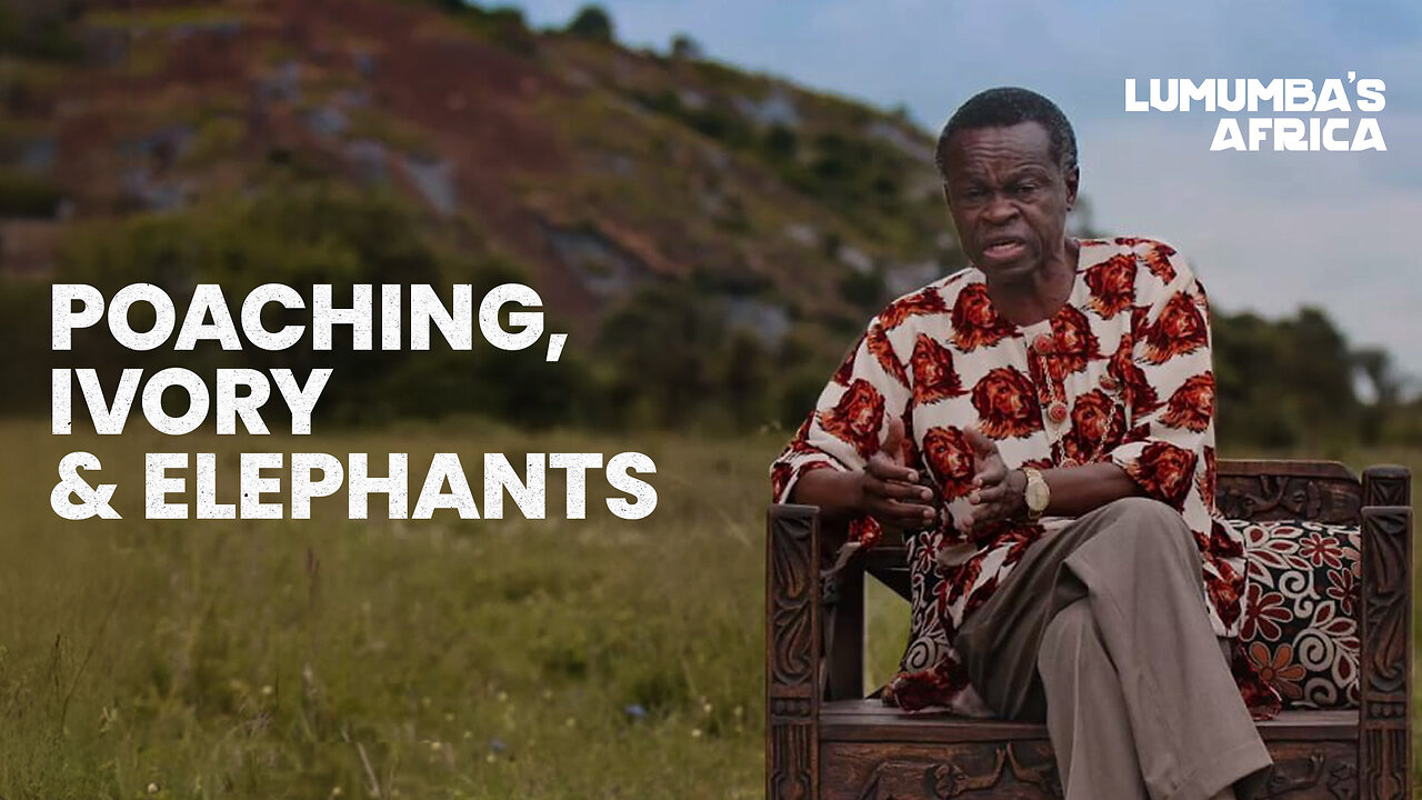 Lumumba’s Africa | Poaching, ivory & elephant problems