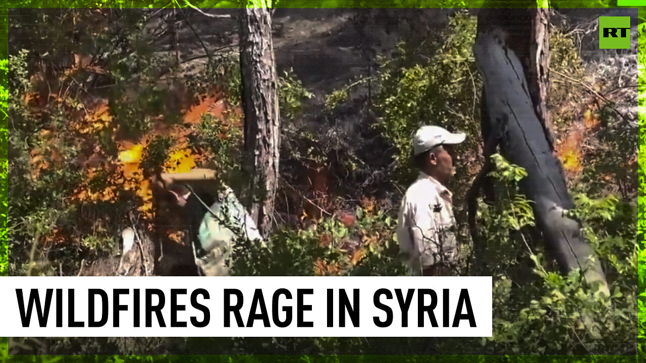 Severe wildfires rage near Syria's Latakia