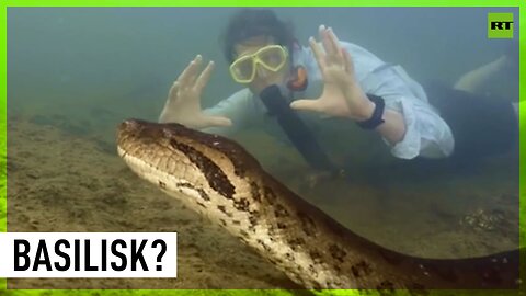 World’s largest snake discovered
