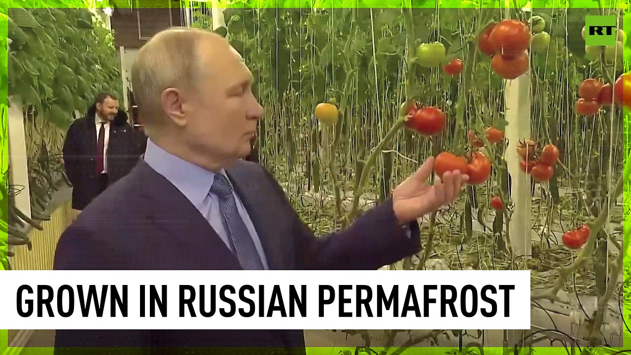 Putin visits greenhouse complex in Chukotka region