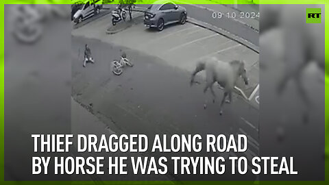 Thief dragged along road by horse he was trying to steal