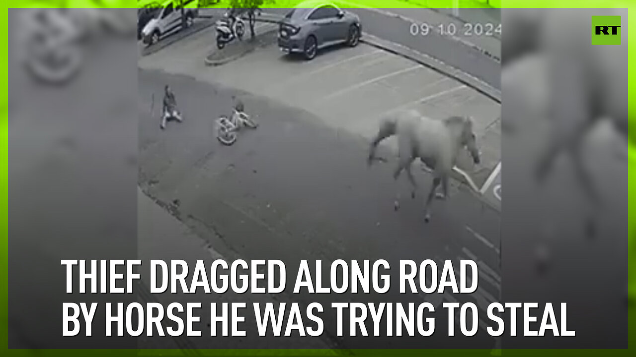 Thief dragged along road by horse he was trying to steal