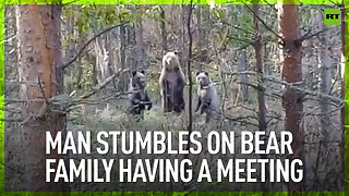 Man stumbles on bear family having a meeting