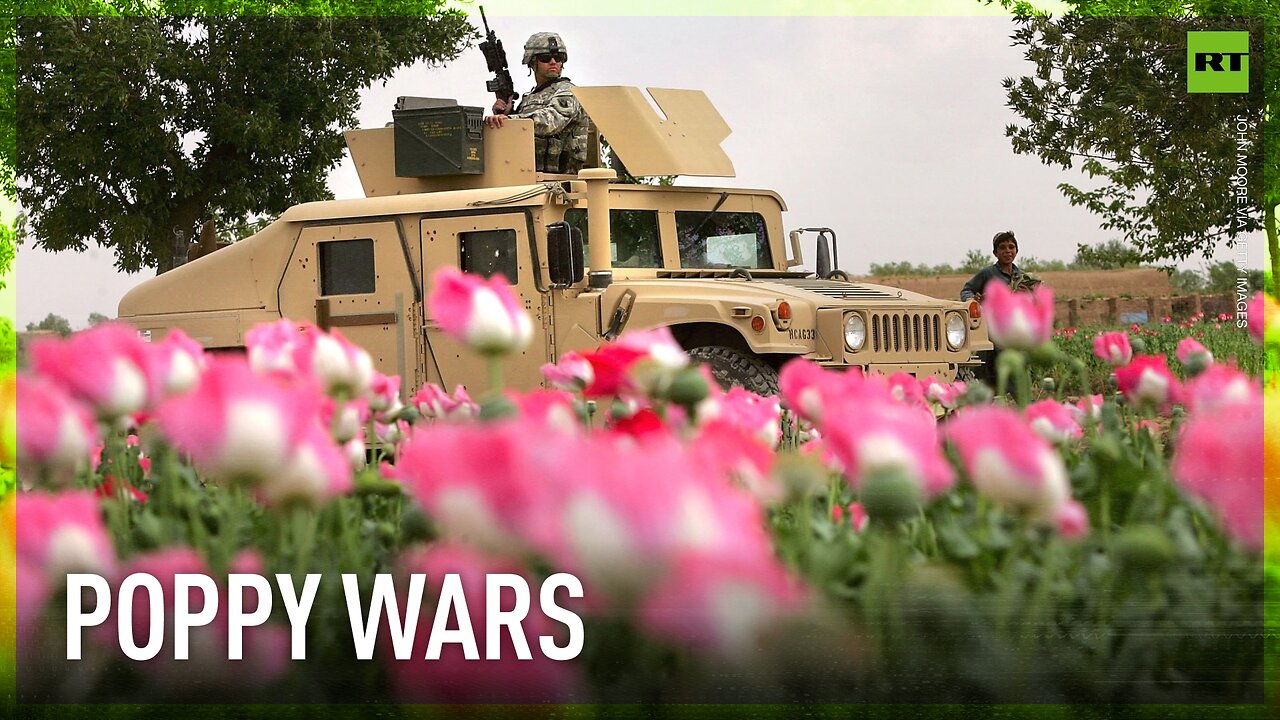 US failed to stop opium production in Afghanistan, slams Taliban's success