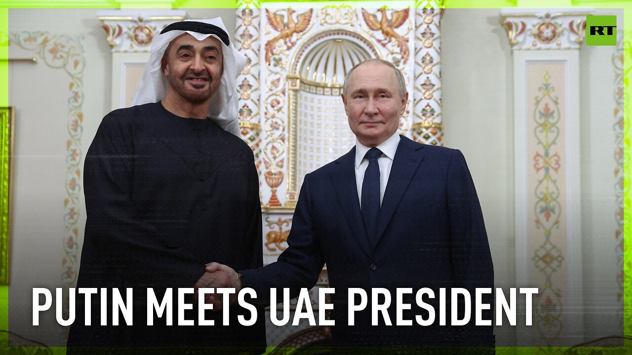 Putin meets UAE President ahead of BRICS Summit