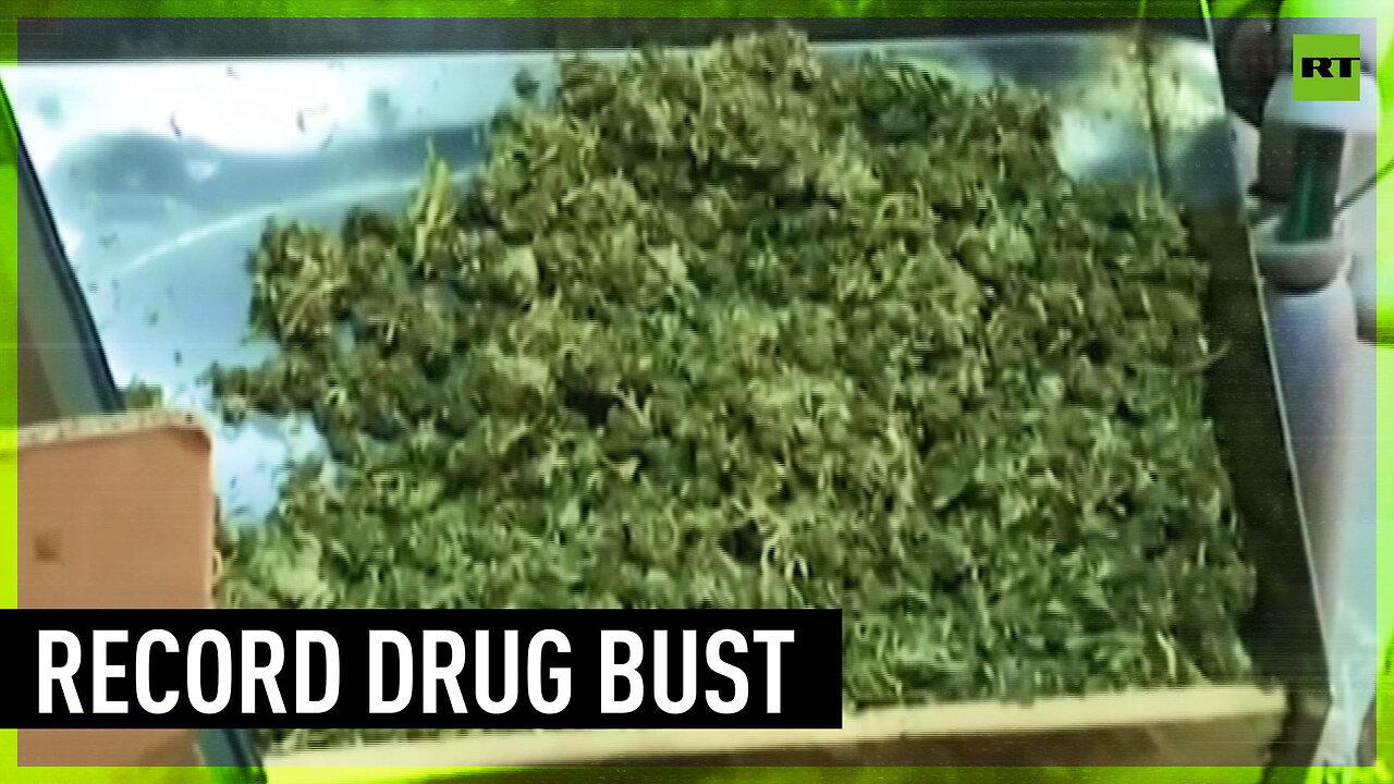 Record-breaking haul of marijuana seized in Spain