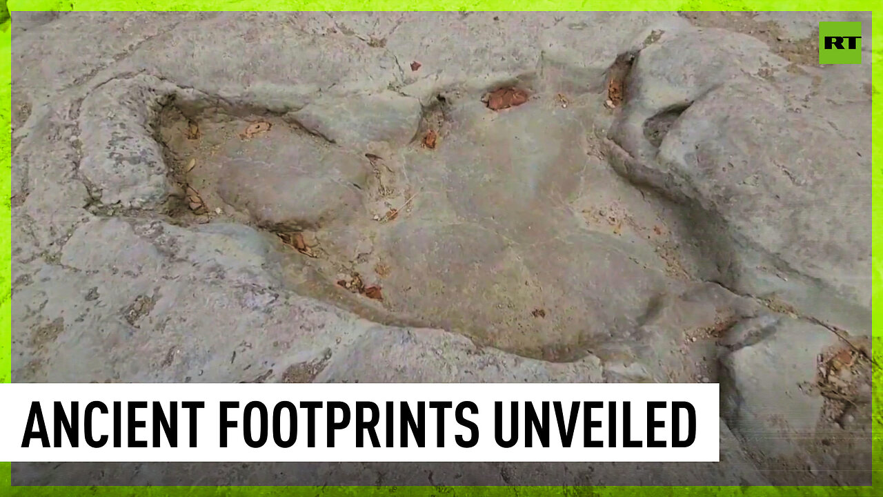 Huge dinosaur footprints discovered in Texas