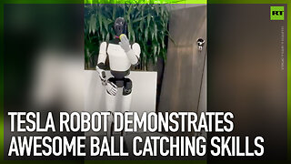 Tesla robot demonstrates awesome ball catching skills