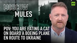 Moscow Mules | POV: You are eating a cat on board a Boeing plane en route to Ukraine